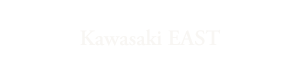Kawasaki EAST