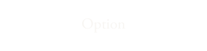 Option